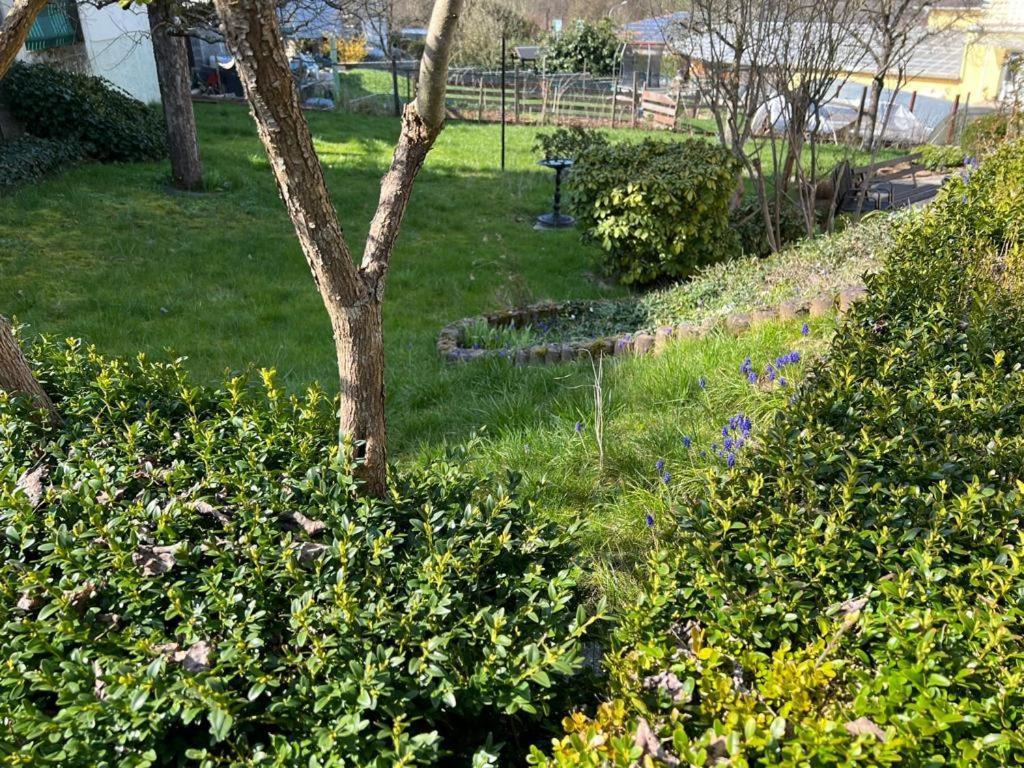 Ferien- Und Monteurwohnung Zum Waldblick Luaran gambar