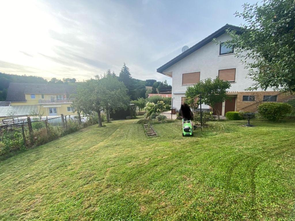 Ferien- Und Monteurwohnung Zum Waldblick Luaran gambar